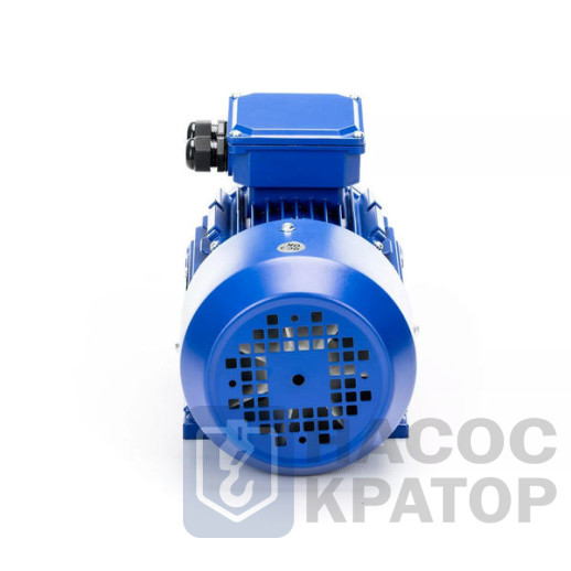 Электродвигатель 5АИ 50 МА4 0,06/1500 IM1081