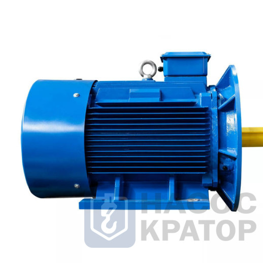 Электродвигатель 5АИ 315 S2 160/3000 IM2001