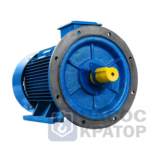 Электродвигатель 5АИ 315 S2 160/3000 IM2001
