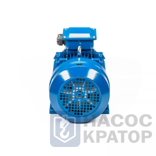 Электродвигатель 5АИ 132 М4 Б1 11/1500 IM1081