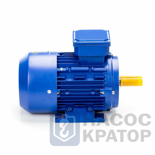Электродвигатель 5АИ 50 МА2 0,09/3000 IM1081