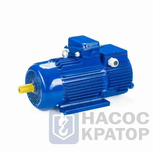 Электродвигатель 5MTH 400 М10 132/600 IM1004