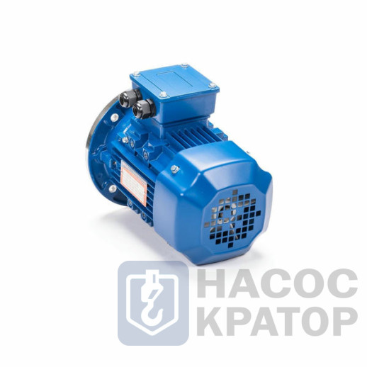 Электродвигатель 5АИ 56 А2 0,18/3000 IM3081