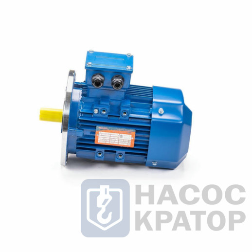 Электродвигатель 5АИ 56 А2 0,18/3000 IM3081