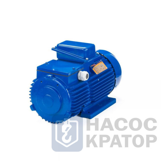 Электродвигатель 5MTH 400 М10 132/600 IM1003