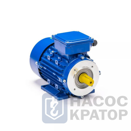 Электродвигатель 5АИ 80 В2 FT100 2,2/3000 IM2181