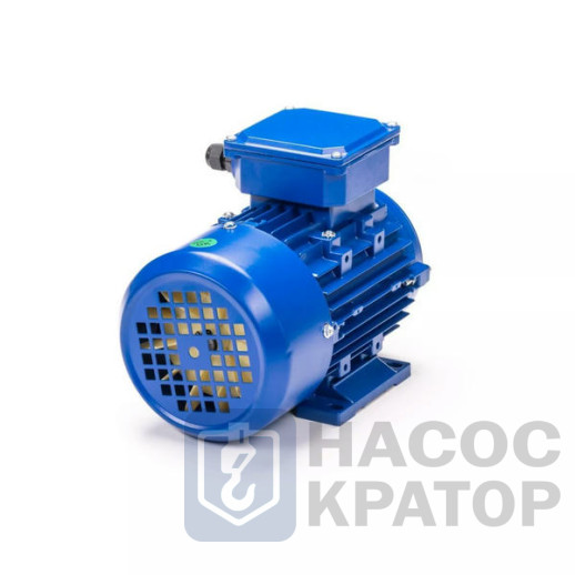 Электродвигатель 5АИ 80 В2 FT100 2,2/3000 IM2181