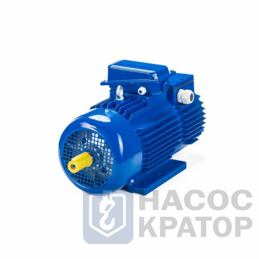 Электродвигатель 5MTH 711-10 110/600 IM1004