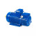 Электродвигатель 5MTH 400 S10 110/600 IM1004