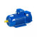 Электродвигатель 5MTH 400 S10 110/600 IM1004