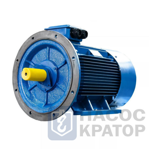 Электродвигатель 5АИ 280 М4 132/1500 IM2001