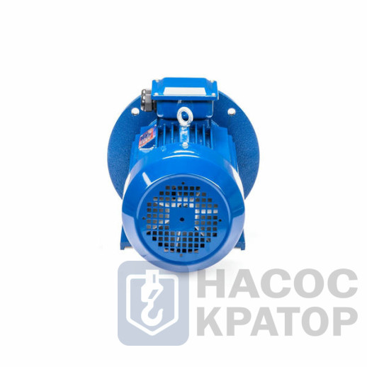 Электродвигатель 5АИ 132 М6 7,5/1000 IM2081