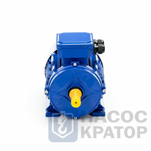 Электродвигатель 5АИ 56 В2 0,25/3000 IM1081
