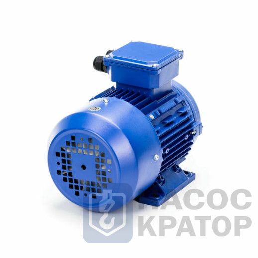 Электродвигатель 5АИ 56 В2 0,25/3000 IM1081