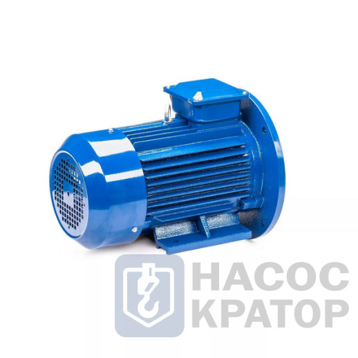 Электродвигатель 5АИ 132 М2 GU 11/3000 IM2081