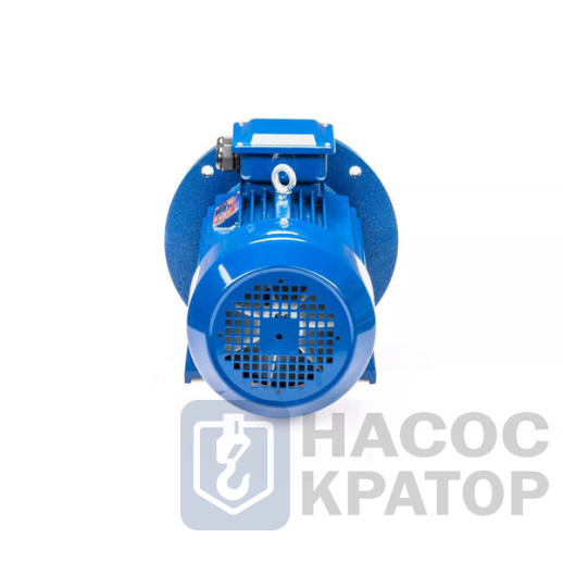 Электродвигатель 5АИ 132 М2 GU 11/3000 IM2081
