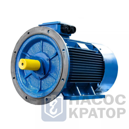 Электродвигатель 5АИ 280 М2 132/3000 IM2001