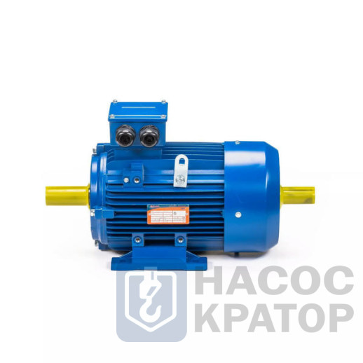 Электродвигатель 5АИ 100 L4 4/1500 IM1082