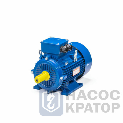 Электродвигатель 5АИ 100 L4 4/1500 IM1082