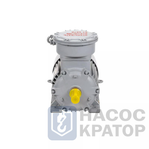 Электродвигатель АИМУР 200 L8 У2,5 380/660В, класс изоляции F, PBExdI Mb, РТС (статор), подшипники SKF, 22/750 IM1001