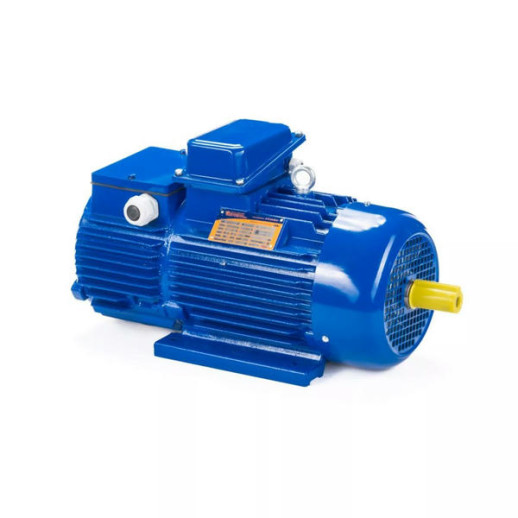 Электродвигатель 5МТН 280 М8 75/750 IM1003