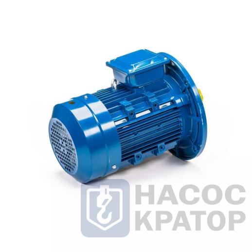 Электродвигатель 5АИ 132 М2 11/3000 IM3081