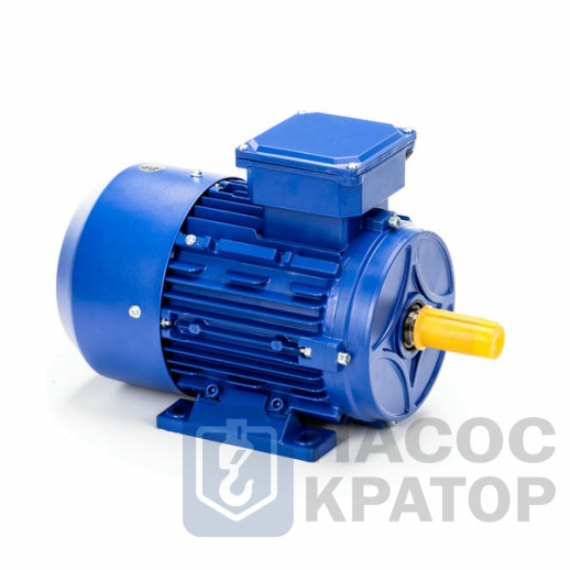 Электродвигатель 5АИ 80 В2 2,2/3000 IM1081