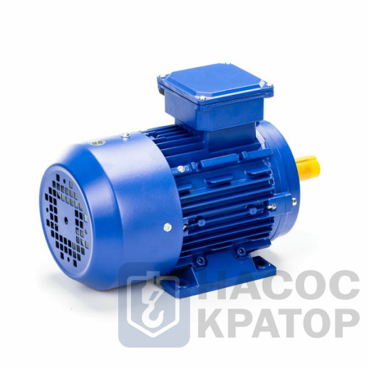 Электродвигатель 5АИ 80 В2 2,2/3000 IM1081