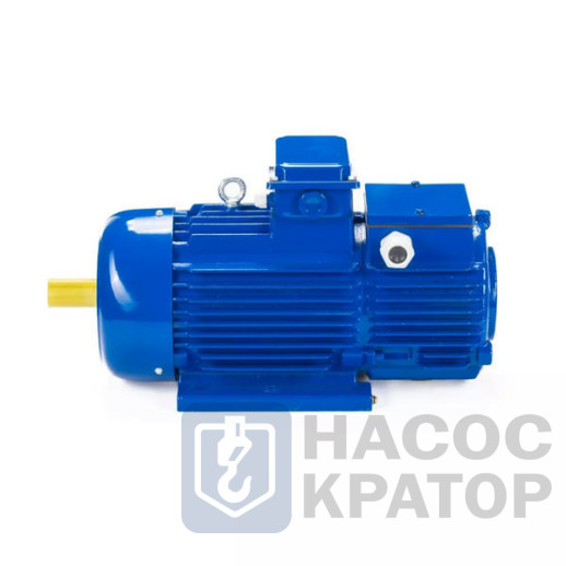 Электродвигатель 5MTH 280 S6 75/955 IM1003