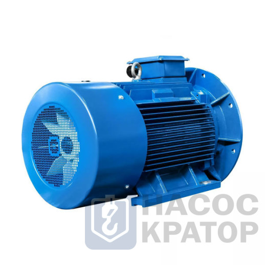 Электродвигатель 5АИ 280 S6 75/1000 IM2001