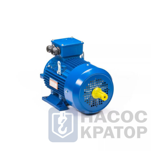 Электродвигатель 5АИ 100 L2 5,5/3000 IM1082