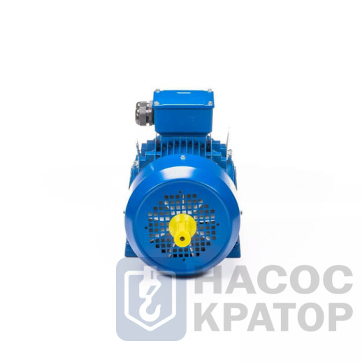 Электродвигатель 5АИ 100 L2 5,5/3000 IM1082