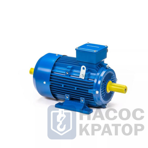 Электродвигатель 5АИ 100 L2 5,5/3000 IM1082