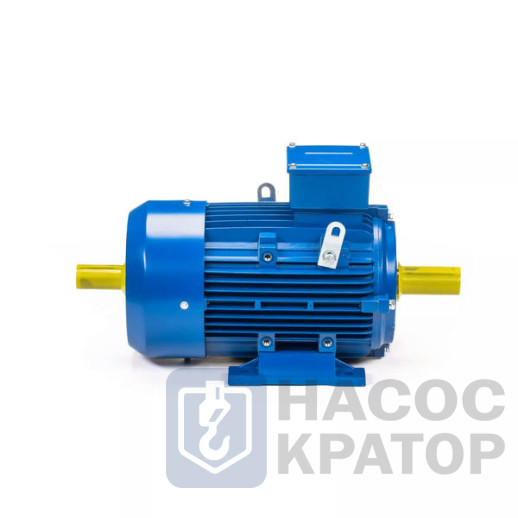 Электродвигатель 5АИ 100 L2 5,5/3000 IM1082