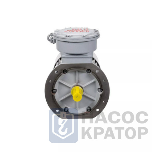 Электродвигатель АИМУР 180 М4 У2,5 380/660В, класс изоляции Н, PBExdI Mb, МК1-160 (статор), подшипники SKF, 30/1500 IM4081