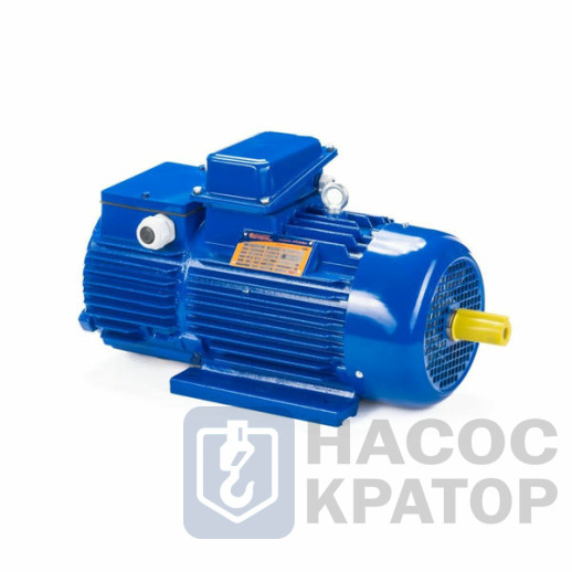 Электродвигатель 5MTH 280 S8 55/750 IM1003