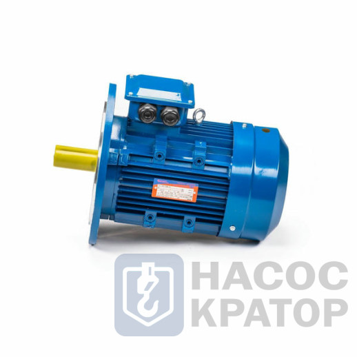Электродвигатель 5АИ 132 S4 7,6/1500 IM3081