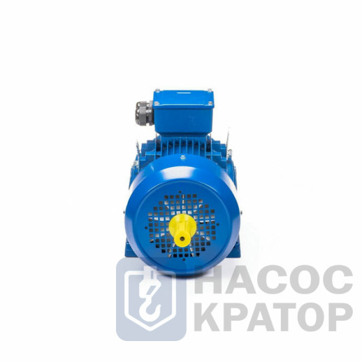 Электродвигатель 5АИ 100 S2 4/3000 IM1082