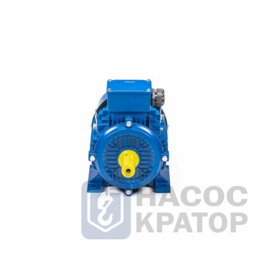 Электродвигатель 5АИ 100 S2 4/3000 IM1082