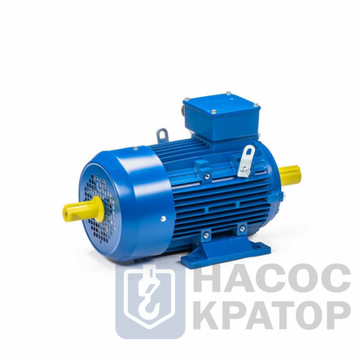 Электродвигатель 5АИ 100 S2 4/3000 IM1082