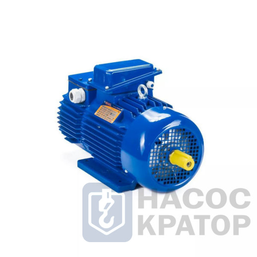 Электродвигатель 5МТН 280 М10 60/600 IM1003