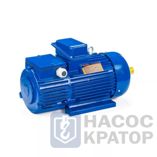 Электродвигатель 5МТН 280 М10 60/600 IM1003
