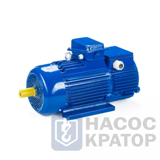 Электродвигатель 5МТН 280 М10 60/600 IM1003