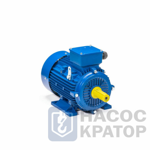 Электродвигатель 5АИ 100 S4 3/1500 IM1082