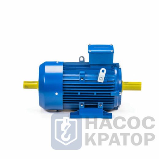 Электродвигатель 5АИ 100 S4 3/1500 IM1082