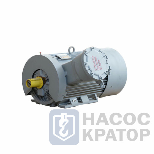 Электродвигатель 2АИМУР 315 L4 У2,5 660/1140В, класс изоляции Н, PBExdI Mb, РТС (статор), стальной фланец, подшипники SKF, 315/1500 IM9701
