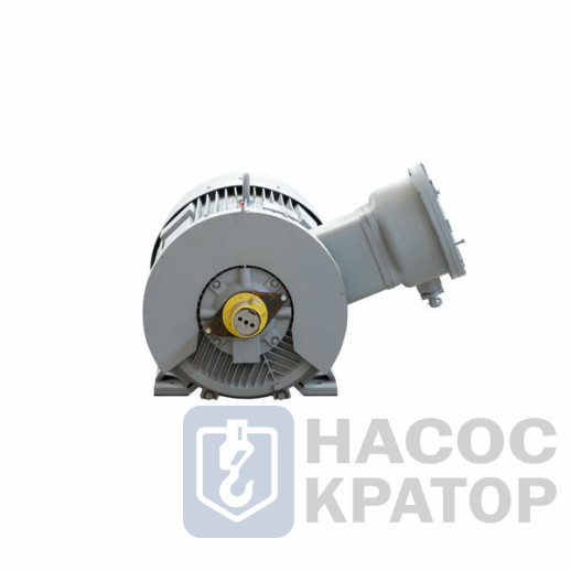 Электродвигатель 2АИМУР 315 L4 У2,5 660/1140В, класс изоляции Н, PBExdI Mb, РТС (статор), стальной фланец, подшипники SKF, 315/1500 IM9701