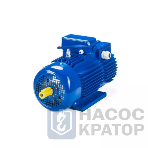 Электродвигатель 5МТН 225 L8 37/750 IM1004