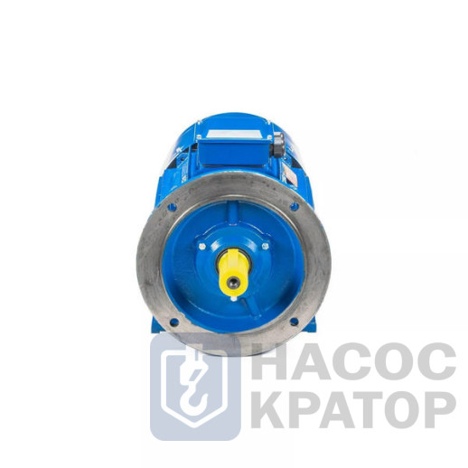 Электродвигатель 5АИ 250 М2 90/3000 IM2001