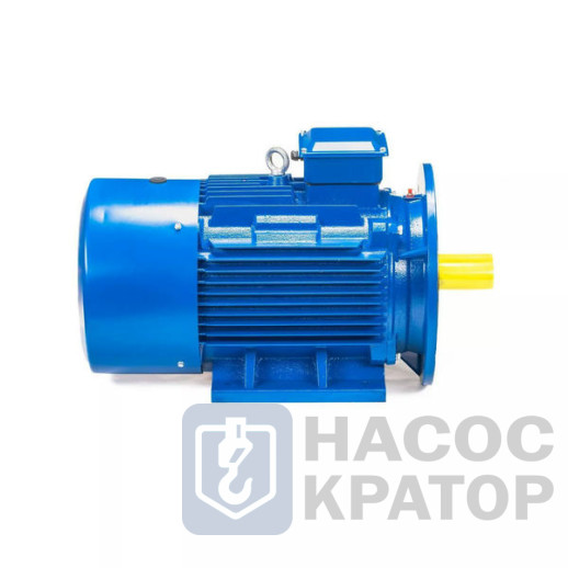 Электродвигатель 5АИ 250 М2 90/3000 IM2001